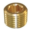 Countersink Plug, Brass, 1/8 In., BSPT