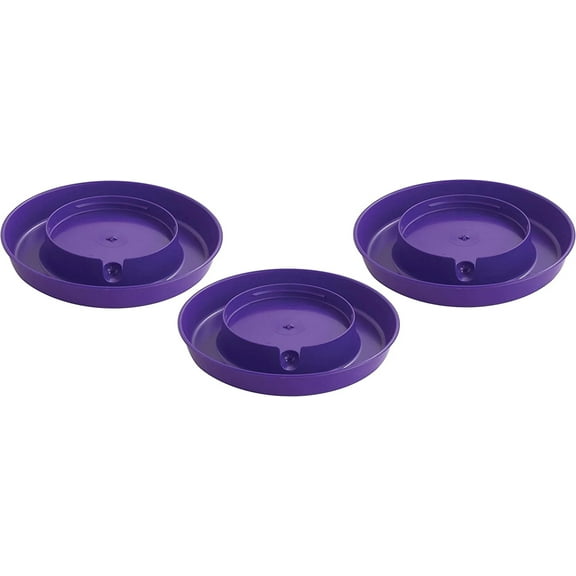 Little Giant Plastic Screw-On Waterer Base 1 Gallon, Purple