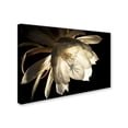 thumbnail image 2 of Trademark Fine Art "Midnight Portrait" Canvas Art by Kurt Shaffer, 2 of 3