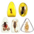thumbnail image 3 of 5 Pcs Amber Pendants Random Style Insect Amber Resin Pendants for DIY Necklace Bracelet Jewellery, 3 of 6