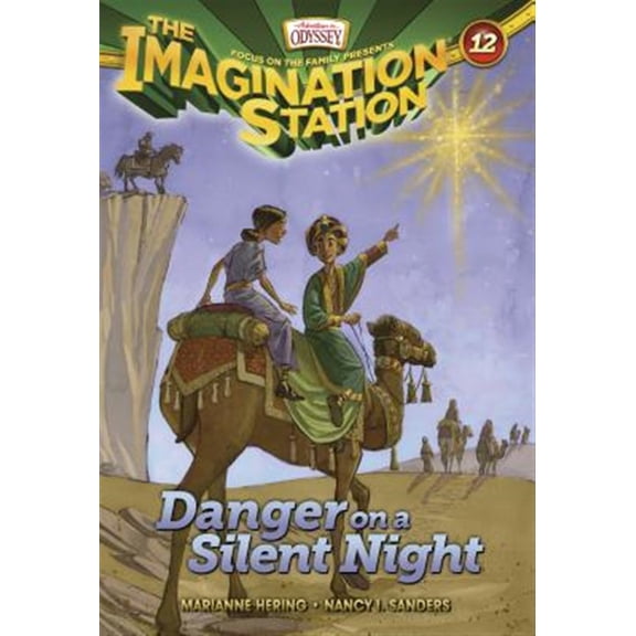Pre-Owned Danger on a Silent Night (Paperback) 1589977394 9781589977396