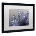 thumbnail image 4 of Trademark Fine Art "Evening Jewels" Canvas Art by Beata Czyzowska Young, White Matte, Black Frame, 4 of 4