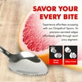 thumbnail image 4 of Chef Craft Select Serrated Grapefruit Spoon, 6.5 inches in length 2 piece set, Stainless Steel, 4 of 6
