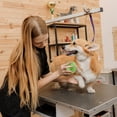 thumbnail image 3 of Fiudx Cepillo de Vapor Recargable para Mascotas, Masajeador de Gel de Sílice, Función de Autolimpieza, Elimina El Pelo Suelto, Peine Suave para Mascotas, Aseo Cómodo, Regalo Ideal para Amantes de Las, 3 of 5