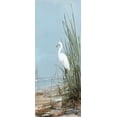 thumbnail image 2 of Swatland, Sally 8x14 Black Ornate Wood Framed with Double Matting Museum Art Print Titled - Island Egret II, 2 of 4