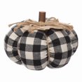 thumbnail image 1 of PLAID PUMPKIN, 1 of 3