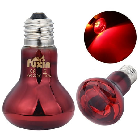 

Tepsmf Pet Supplies 100W Uva Day Night Amphibian Snake Lamp Heat Reptile Bulb Light 220V Dog Accessories Red