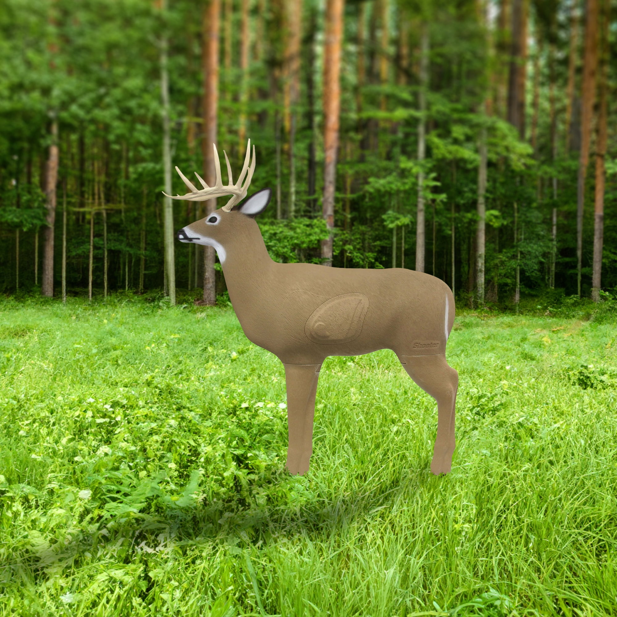 Shooter 3D Big Shooter Buck Target