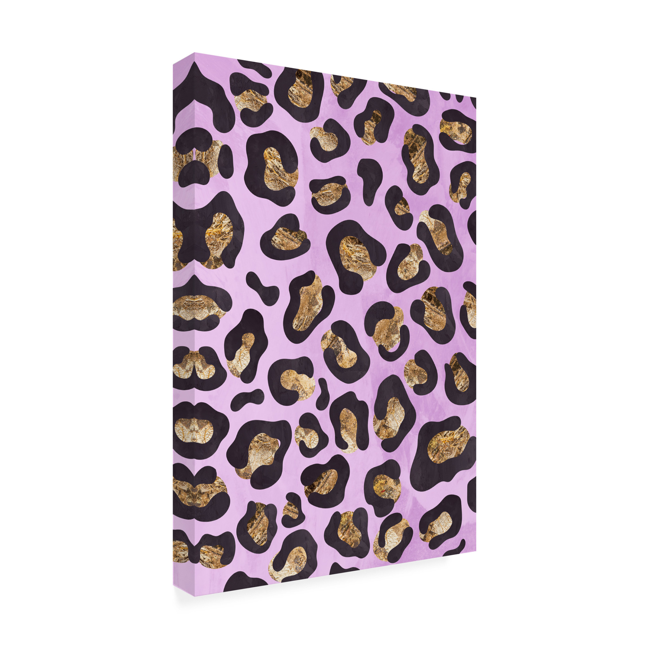 Trademark Fine Art Sarah Manovski  Gold leopard print pink Canvas Wall Art