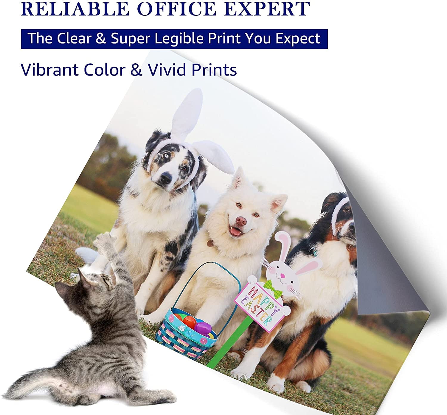 Compatible Black 664XL 664 XL High Yield Ink Cartridge