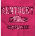 thumbnail image 2 of Kentucky Race Horse Vintage Stencil Unisex Plus Fleece Graphic Hoodie Brisco Brands 3X, 2 of 5
