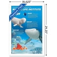 thumbnail image 3 of Disney Pixar Finding Dory - Group Wall Poster, 14.725" x 22.375", Framed, 3 of 5