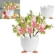 thumbnail image 1 of Decoraciones de Pascua, adornos de Pascua, regalos de Pascua, huevos de Pascua, jarrón, almacenamiento de huevos, adorno de escritorio, mesa de comedor, estante de gran capacidad, plástico, cilindro p, 1 of 8