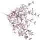 thumbnail image 1 of Flores De Colores Para Horquilla, Orquídea Pequeña De Ensueño, Decoración Para Muebles, Flores Para Suelo, Flores Para Hotel, Material Floral C, 1 of 7