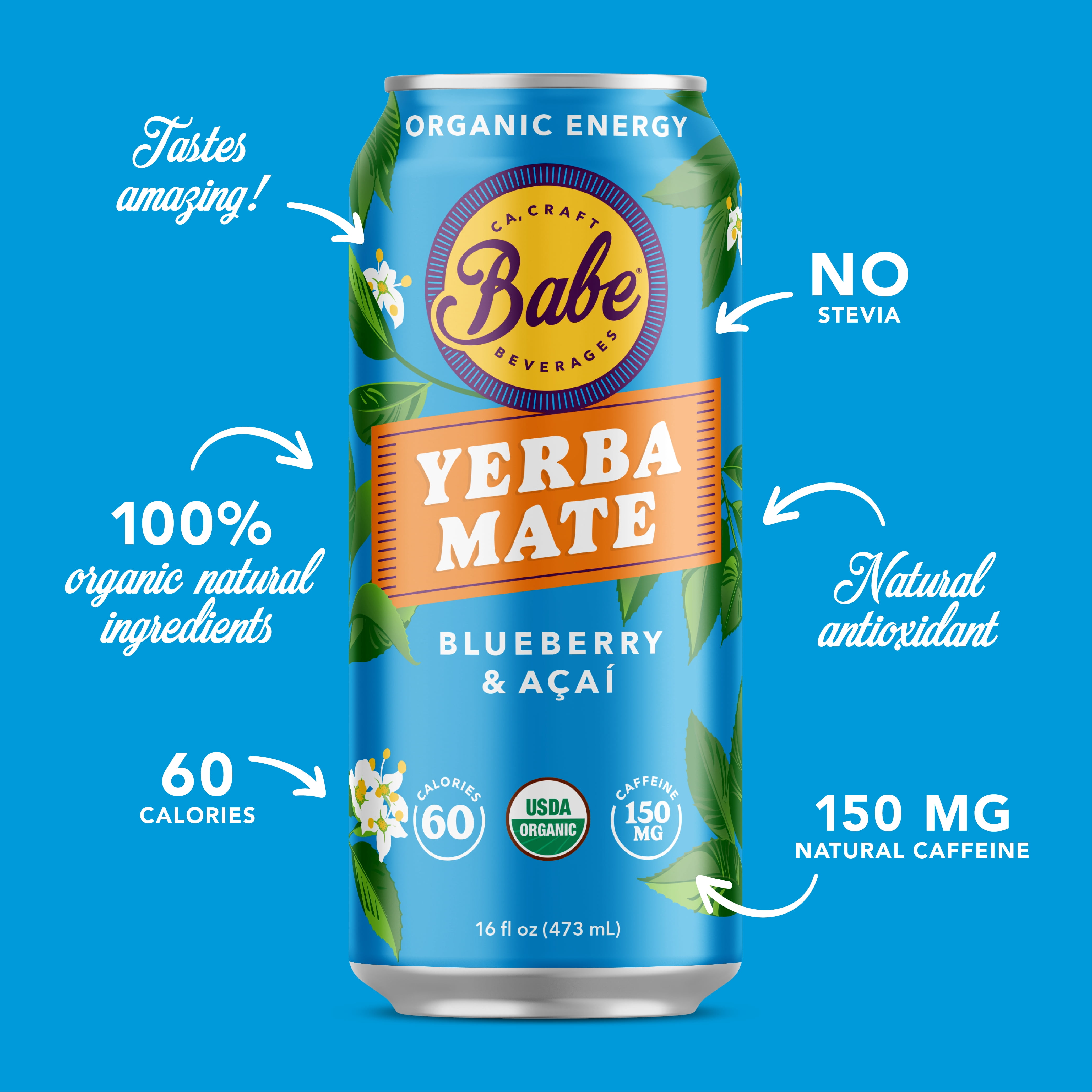 Babe Yerba Mate, Natural Energy Drink Alternative, Variety Pack - 16oz (Pack of 12), 150mg Caffeine
