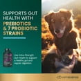 thumbnail image 4 of VetriScience Extra Strength Gut Health Capsules for Dogs & Cats, 180 Count, 4 of 12