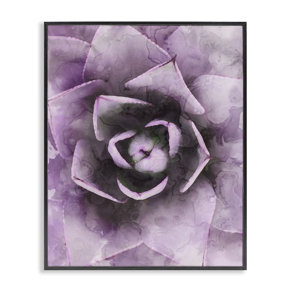 Stupell Industries Modern Modern Purple Succulent Leaves Black Framed Giclee Art, 11 x 14, by Lil' Rue