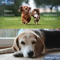thumbnail image 4 of Jouets en Corde pour Chien, Jouets à Mâcher pour Chiot Jouets pour Chien, 4 of 8