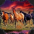thumbnail image 3 of CafePress - Sunset Horses Long Sleeve Dark T Shirt - Long Sleeve Dark T-Shirt, 3 of 4