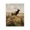 Elk in Wildflower Meadow, variant on Stupell Industries Rustic Lodge All Cowboys Welcome Desert Black Framed Giclee Art, 11 x 14, by Arlington Prints
