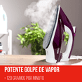 thumbnail image 3 of Plancha De Vapor Iron Pro Tinto/Blanco Suela Cerámica Disa Home 19-10-0-052, 3 of 6