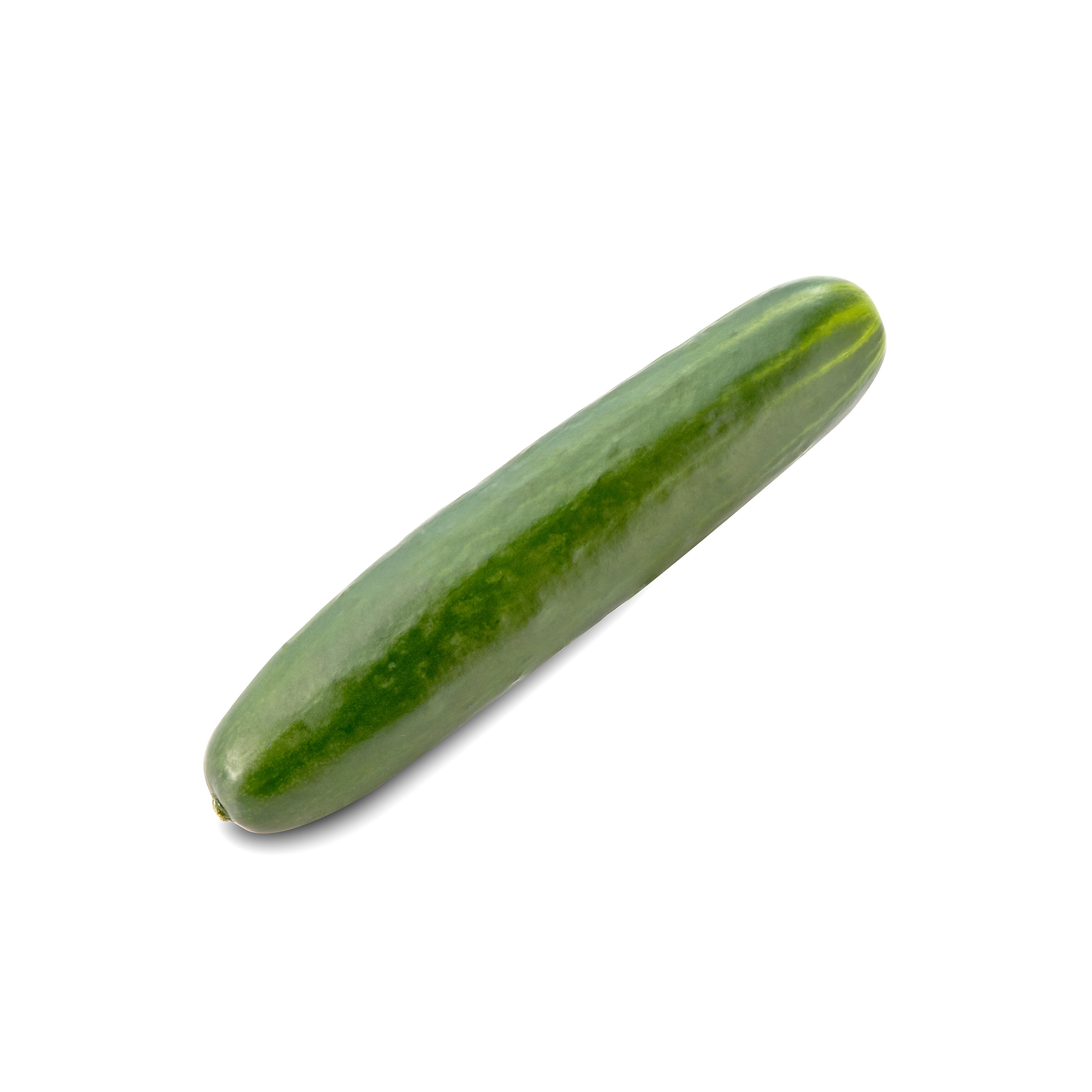 Seedless Cucumber