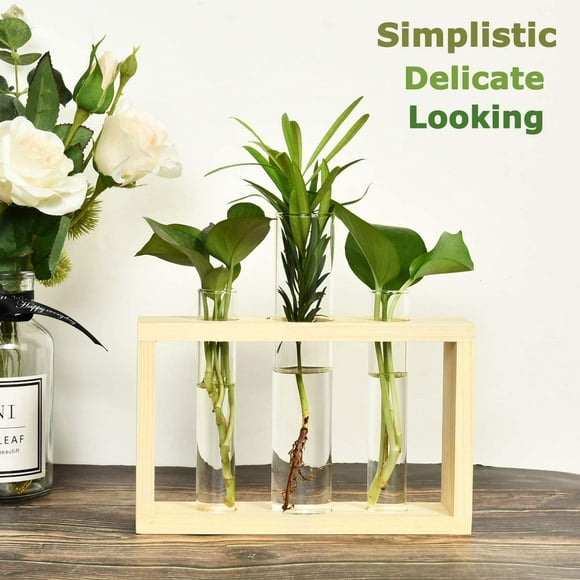 Plant Terrarium with Wooden Stand, Desktop/Wall Hanging Live Plant Propagation Station Planters Glass