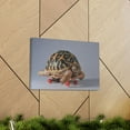 thumbnail image 6 of Funny Tortoise Silly Tortoise Inside Wall Art Ready to Hang Unframed, 6 of 18