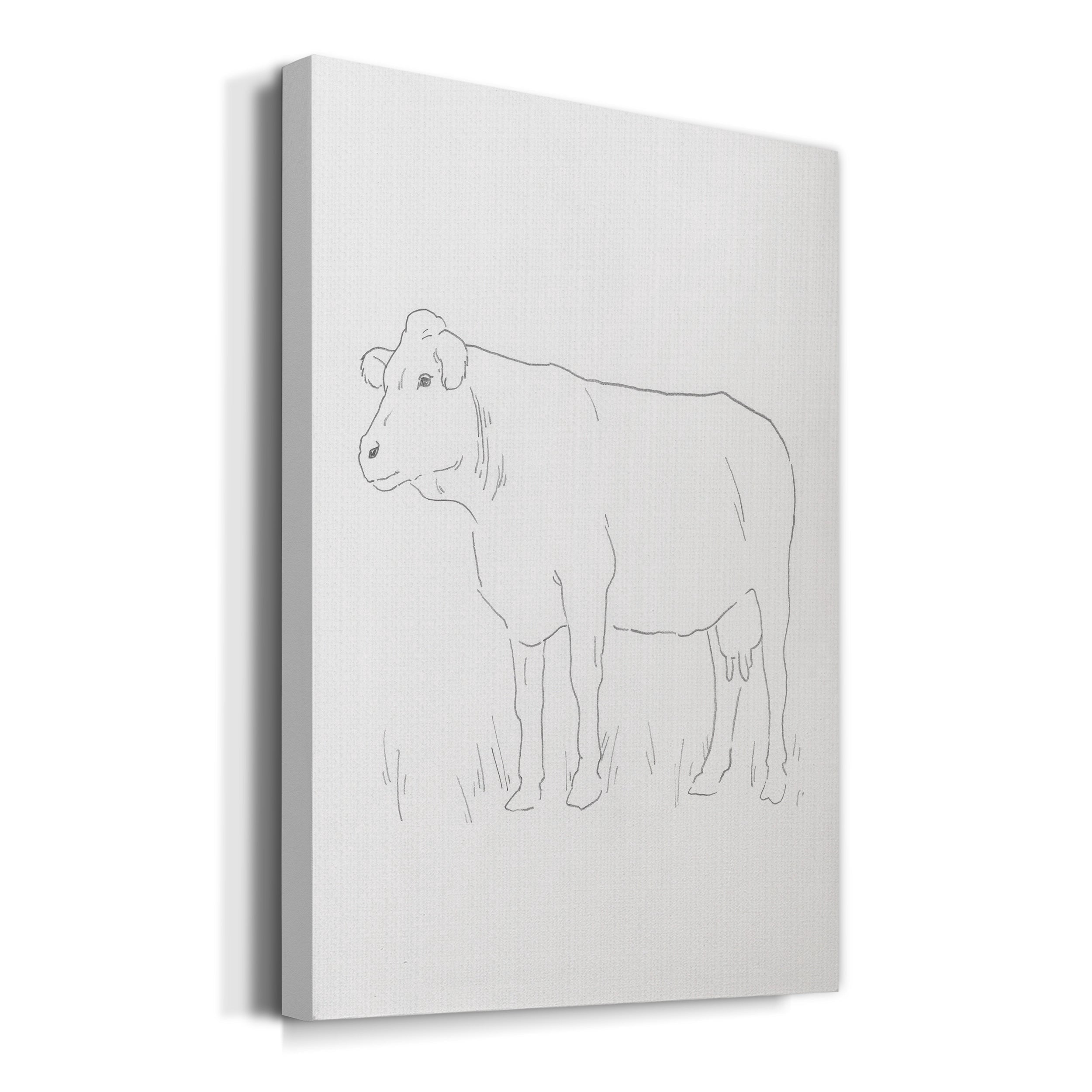 Limousin Cattle IV Premium Gallery Wrapped Canvas - Ready to Hang