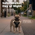 thumbnail image 4 of Voyager Step-In Air Mesh Dog Harness by Best Pet Supplies, 4 of 9