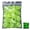 Green, variant on Lynono Co.,Ltd Colorful Fluorescent Stone Walkways Aquarium Accessories Fish Tank Decoration