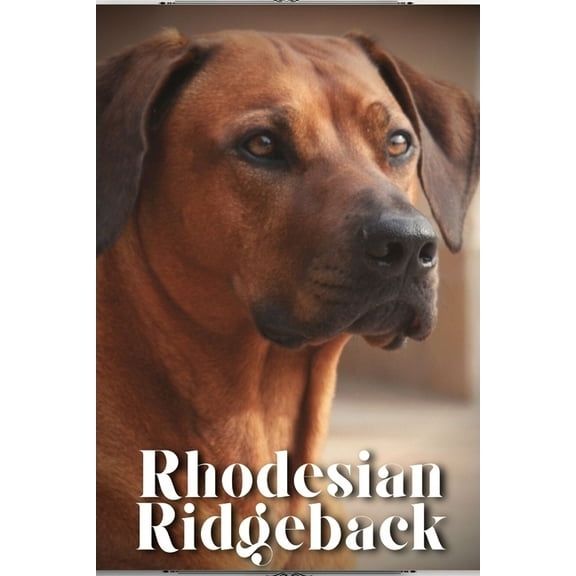 Rhodesian Ridgeback: Dog breed overview and guide (Paperback) by Nina Pustova