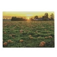 thumbnail image 1 of Autumn Pumpkin Cutting Board, Agriculture Themed Photo of Fall Seasonal Fruit Patch at Sunset Time, Decorative Tempered Glass Cutting and Serving Board, in 3 Sizes, by Ambesonne, 1 of 2