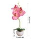 thumbnail image 3 of Arreglo floral de orquídea Phalaenopsis artificial | Bonsái de flores falsas de seda en maceta de cerámica brillante | Planta en maceta decorativa realista | Múltiples colores | 28x7.5cm, 3 of 6