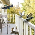 thumbnail image 2 of Britenway Premium Bird Repellent Fake Flying Hawk Decoy  20 In. Wide,, 2 of 6