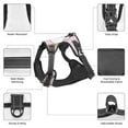 thumbnail image 6 of Lsque Aerial Yoga for Unicorn Dog Harness, No-Pull Pet Harness with 2 Leash Clips, Adjustable Soft Padded Dog Vest with Easy Control Handle for Large Dogs-Medium, 6 of 9