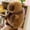 Brown, variant on Capybara Stuffed Animal,Capybara Plush,Baby Doll for Toddlers 1-3,Cute Capybara Plush Toy Gift for Children-7.87"