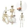 Mini Skeleton Model 15.7" Halloween Skeleton Small Full Body Skeleton with Movable Joints Realistic Scary Skeletons for Teaching Tool Haunted House Graveyard Halloween Party
