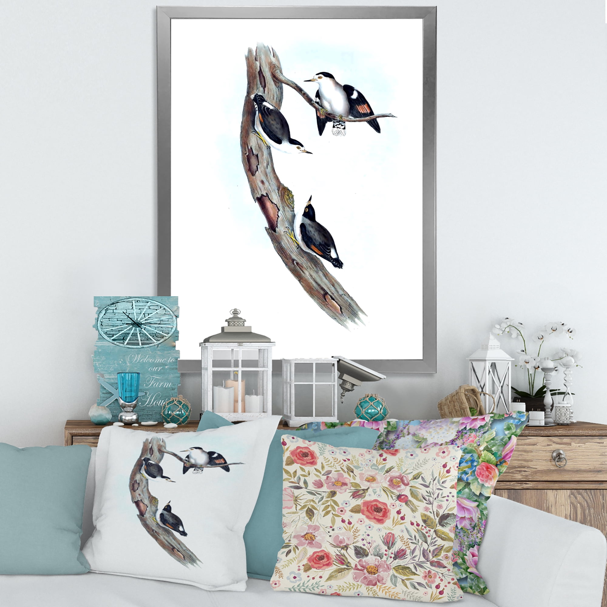 Designart 'Ancient Australian Bird Illustrations I' Traditional Framed Art Print