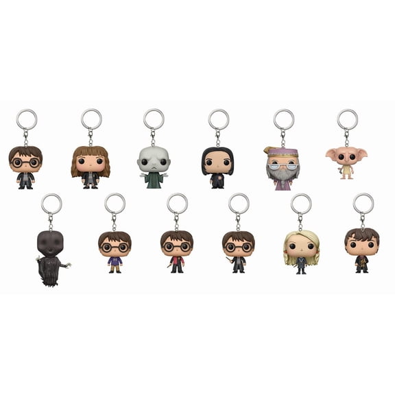 Funko POP Mystery Keychain: Harry Potter (one keychain)