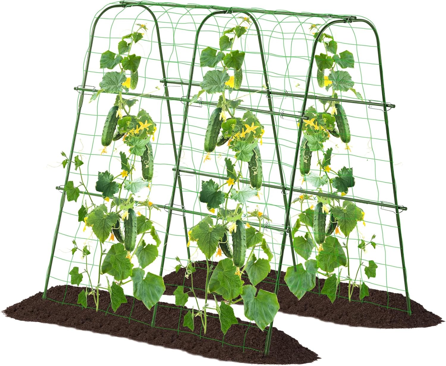 Garden Cucumber Trellis for Climbing Plants Outdoor 48x48 Inch U-Shape Arch Plant Support for Tomato Grape Vegetable Pea Bean with Durable Green Frame