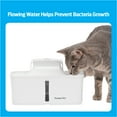 Premier Pet 128 oz. Pet Fountain Automatic water fountain for dogs
