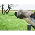 thumbnail image 3 of MOJO Outdoors Dove Hunting Decoys and Accessories – (Choose Style), 3 of 8