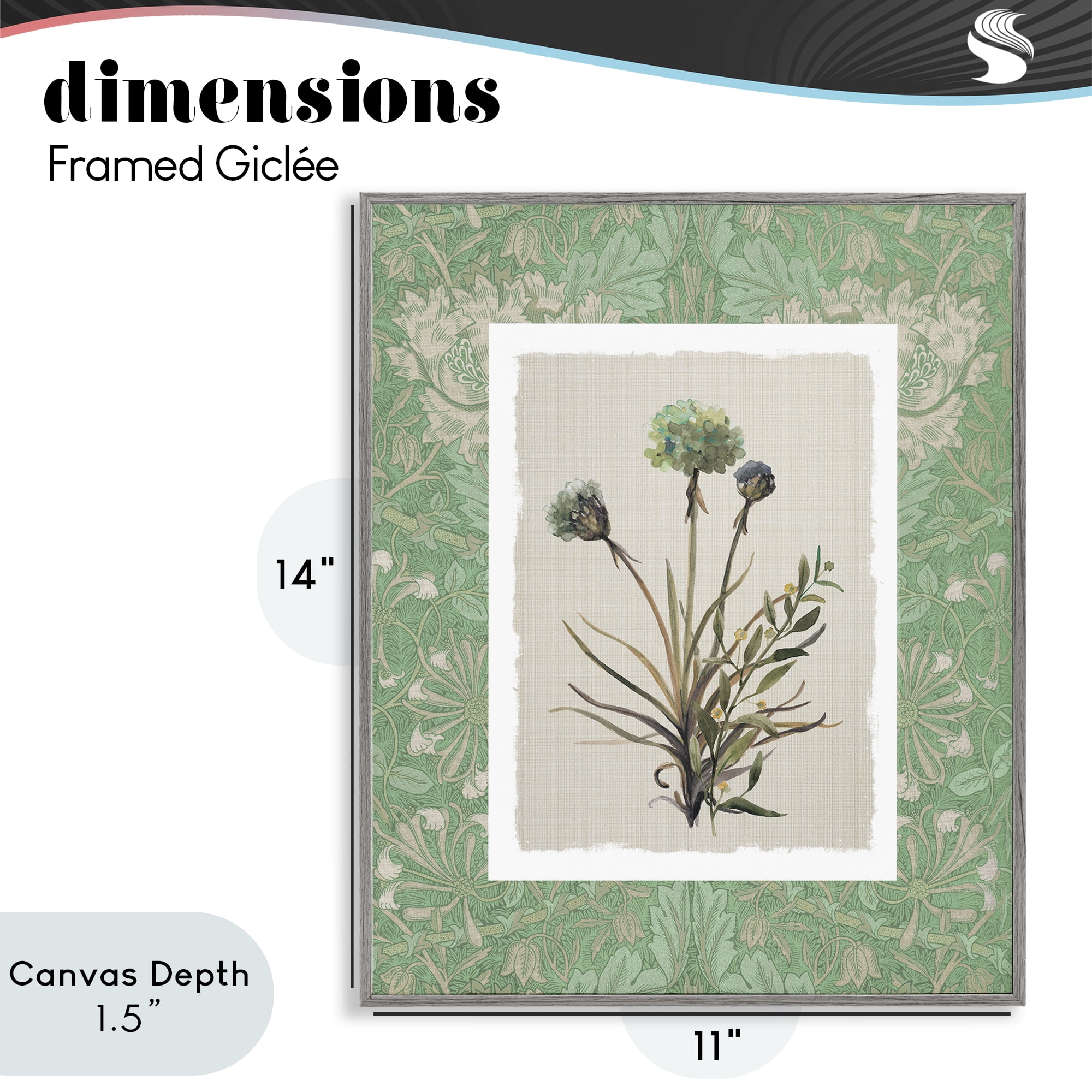 Stupell Industries Vintage Foliage in Green Gray Framed Giclee Art, design by Carol Robinson