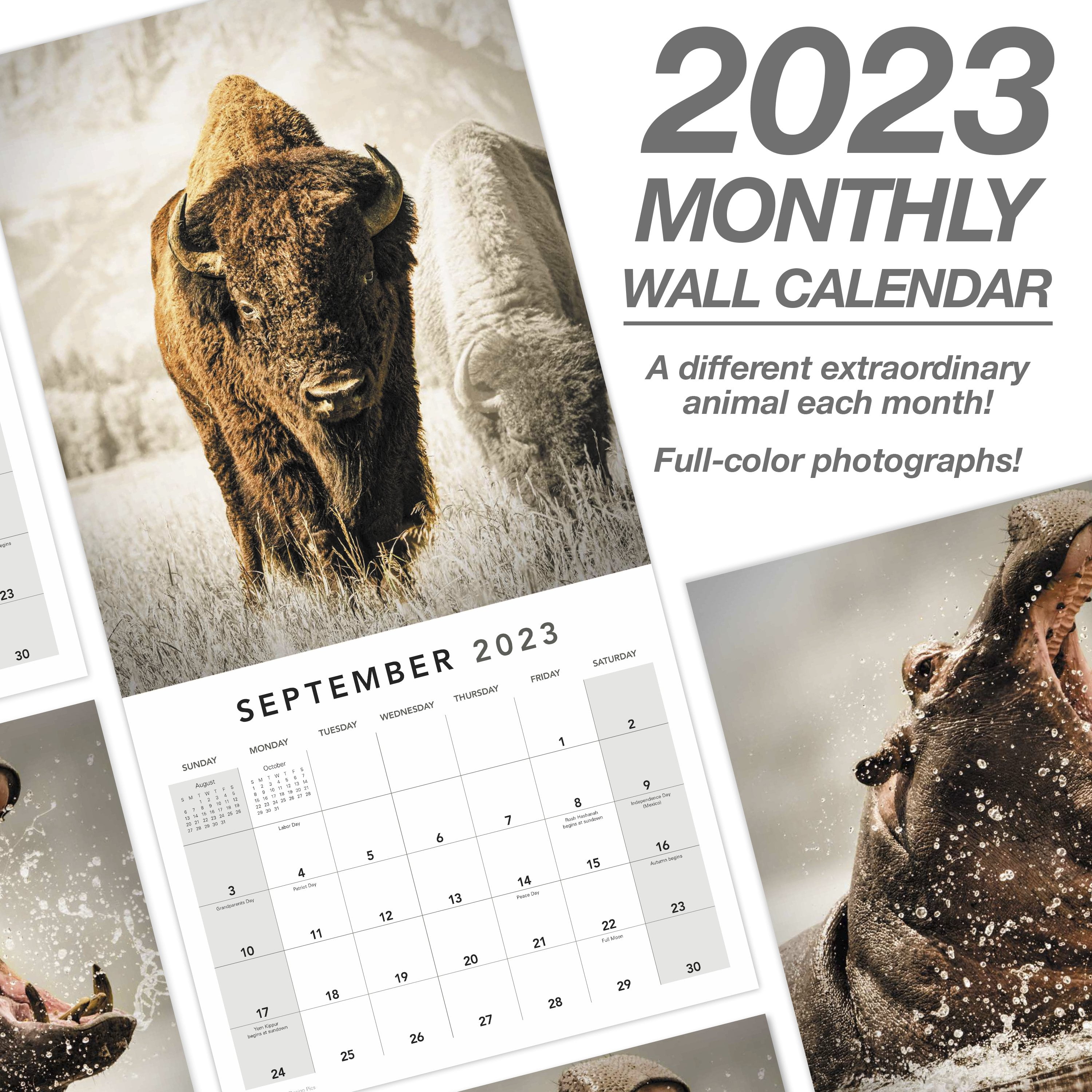 2023 Wall Calendar, Extraordinary Earth, 12" x 12" by Mead (WMET1810-23)