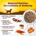 thumbnail image 4 of Wellness Complete Health Natural Wet Canned Dog Food, Duck & Sweet Potato, 12.5-Ounce Can (Pack of 12), 4 of 7