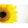 thumbnail image 2 of Quillen, Donnie 24x17 Gold Ornate Wood Framed with Double Matting Museum Art Print Titled - Sunflower Close-up, 2 of 4