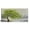 Green Tree, variant on Golden/Green/Blue Tree of Life Paintings - Large Canvas Print Wall Art for Living Room, Bedroom, Office Decorations, Landscape Artworks with Framed, 40"X20"