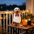 thumbnail image 4 of Clearance Gunhay Halloween Ghost Goldendoodle Dog Figurine, 7.9" Resin Doodle Goldendoodle Dog Statue with Pumpkin Bow Tie, 4 of 8