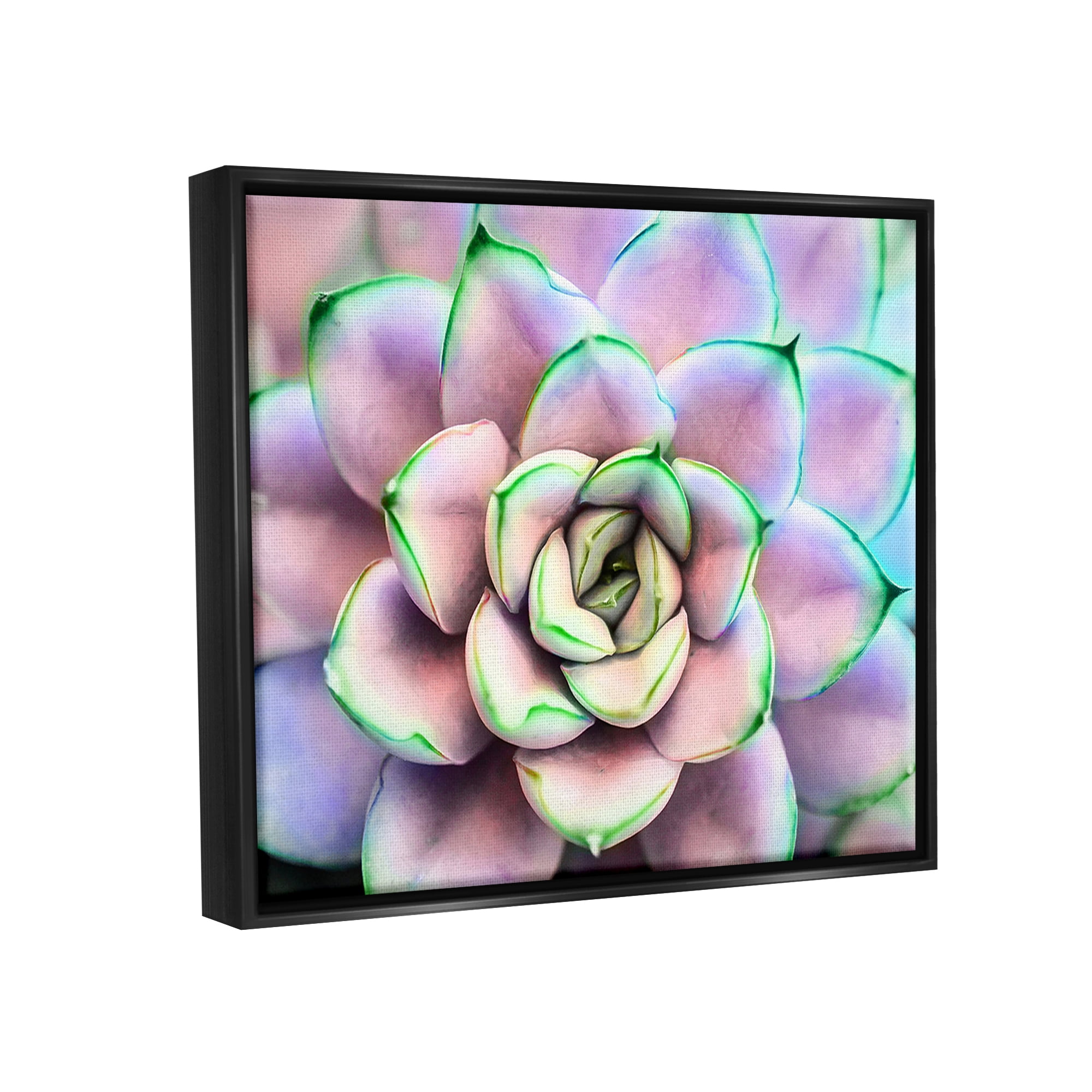 Stupell Industries Purple & Green Succulent Petals Botanical & Floral Photography Black Floater Framed Art Print Wall Art